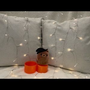 Squishmallows 4” Bear Halloween capsule